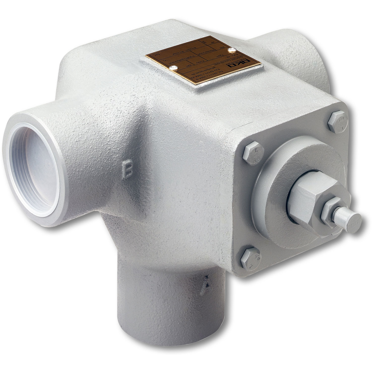 Valvola di controllo temperatura AKO 226.0621 ghisa grigia filettata